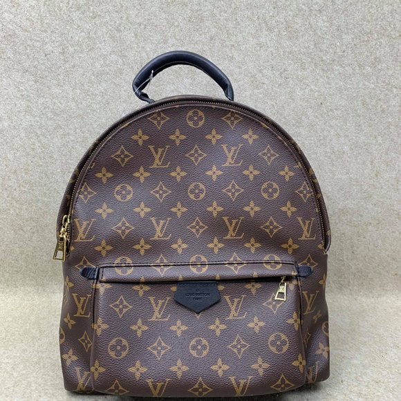 Louis Vuitton Handbags - Auth Louis Vuitton Palm Springs MM backpack